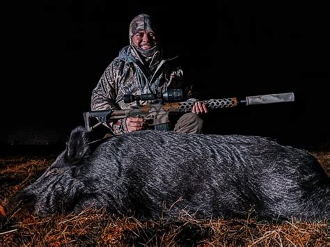 Wild Hog Hunts In Texas Huunt