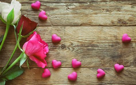 Pink Roses On Valentine — Картинки и Рисунки
