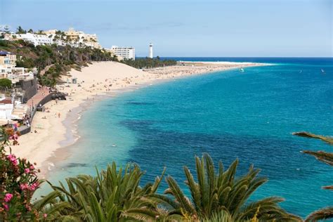 Top 9 Things To Do And Experience In Fuerteventura