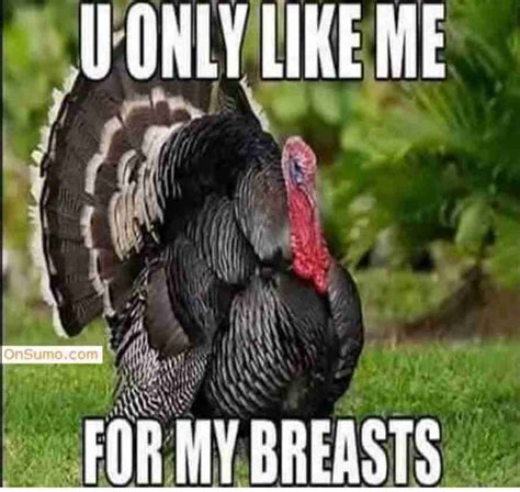 40 funny happy thanksgiving day memes 2020 guide for moms