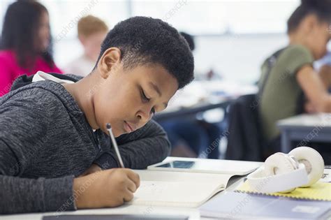School Boy Student Doing Homework Stock Image F0242633 Science