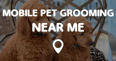 They like working with animals and are comfortable around them. MOBILE PET GROOMING NEAR ME - Points Near Me