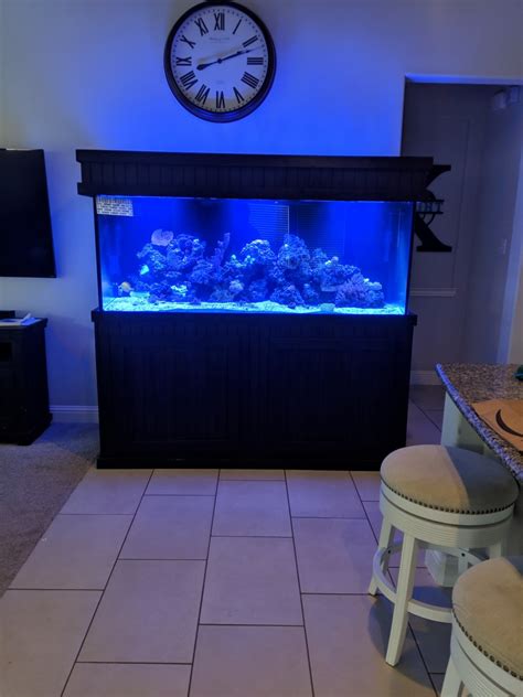 Humidity Higher After Adding 210 Gallon Aquarium Reef2reef Saltwater