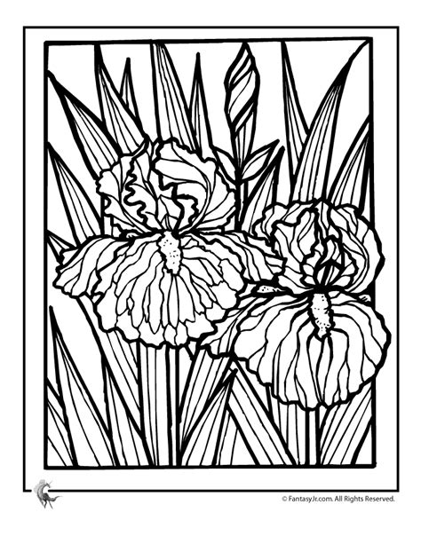 Download and print free iris coloring pages to keep little hands occupied at home; Iris Flower Coloring Page | Woo! Jr. Kids Activities