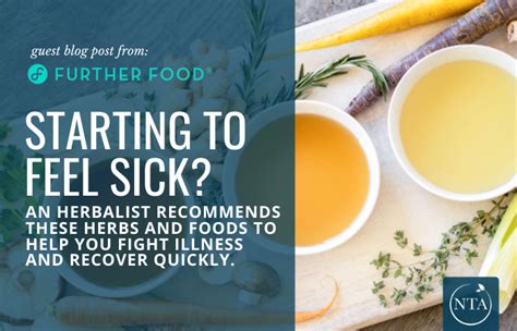 Herbs And Foods To Help You Fight Illness And Recover Quickly