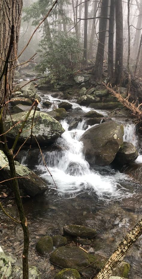 Rainbow Falls Trail Great Smoky Mountains National Park 2019 All