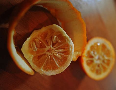 When you can't find bitter orange, here's how to fake it | Bitter orange, Orange, Sour orange