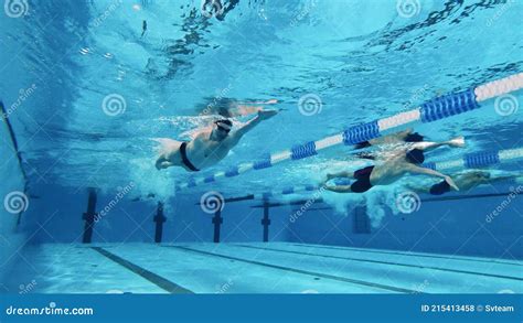Male Athletes Swim In A Pool Wearing Swimwear Stock Footage Video Of