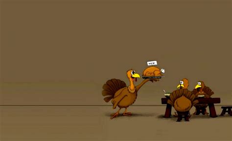45 Virtual Background Funny Thanksgiving Zoom Background Images And