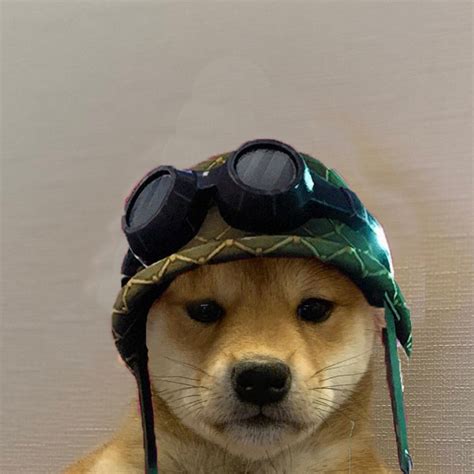 Visartheking Visar0507 Twitter In 2020 Dog Icon Gamer Pics Animal Memes