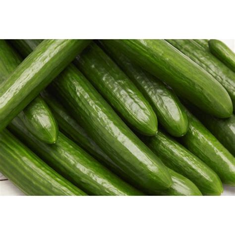 Hydroponics Cucumber Nutrients