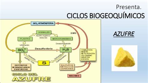 Ciclos Biogeoquímicos Azufre