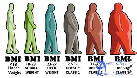 2 cách tính chỉ số cơ thể. BMI là gì? chỉ số BMI và cách tính BMI như thế nào?