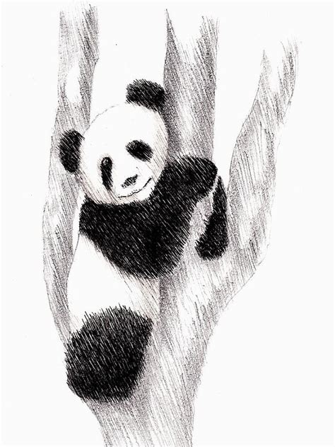 How To Draw A Realistic Panda Draw Real Panda Step By Vrogue Co