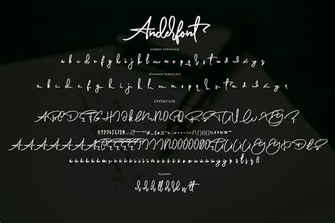 Anderfont A Signature Font Stunning Script Fonts Creative Market