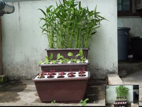 Hidroponik adalah cara menanam modern yang biasa dipakai oleh para petani masa kini. Buat Sendiri Bekas Hidroponik Dengan Guna Barang-Barang ...