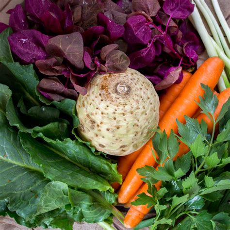 Gameboss lagged www.macrojuegos.com neptunjs.com gamepix iogames.space. Ciorbă de lobodă - Mihai Petrișor