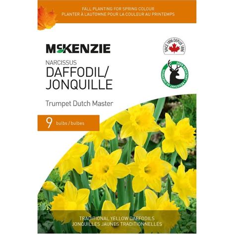 Mckenzie Daffodil Trumpet Dutch Master Flowering Bulbs Home Hardware