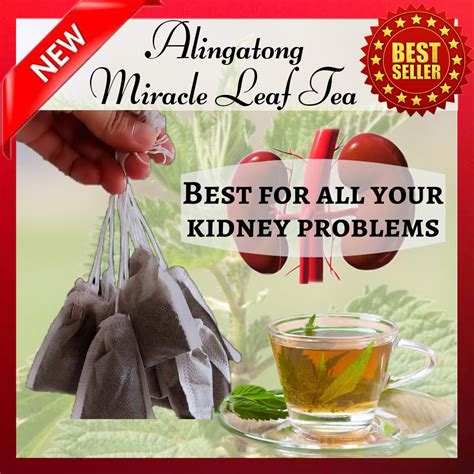 Alingatong Miracle Herbal Leaf Tea 1 Pouch 20 Teabags Lazada Ph