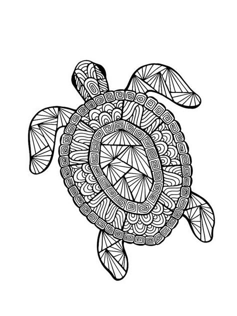 16 Turtle Coloring Pages For Adults Just Kids
