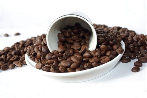 10 Best Dark Roast Coffee Beans 2022 Review Upd