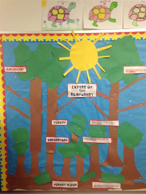 Layers of the Rainforest Bulletin Board! | Kindergarten activities