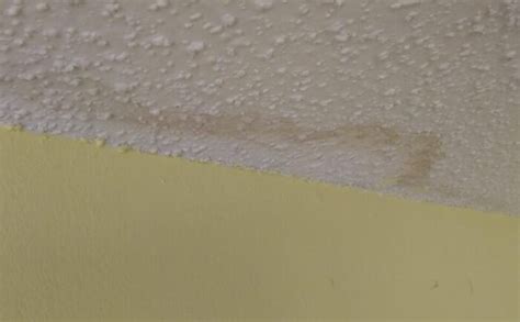 Yellow Patches On Bathroom Ceiling Best Design Idea