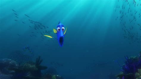 Finding Dory Dory Blue Tang Fish