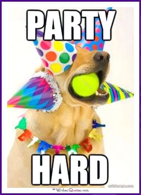 Happy Birthday Memes With Funny Cats Dogs And Animals Funny Happy