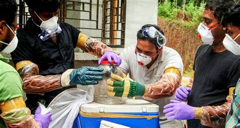The nipah virus outbreak in kerala has resulted in a death toll of 11, while 25 more infected people, who are reportedly in critical condition, are being treated across various hospitals in the state. How Kerala Passed the Tough Nipah Test