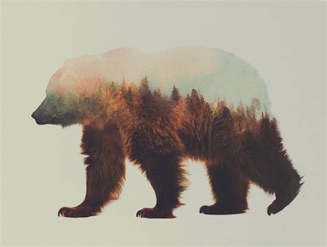 Stunning Double Exposure Animal Portraits We Are Wildness