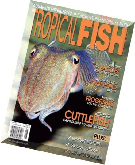 Tropical Fish Hobbyist Magazine Pdf Bestufiles