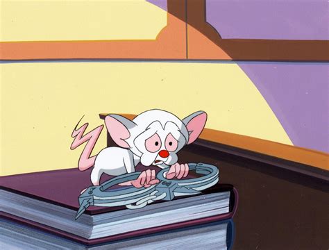 Pinky And The Brain Original Production Cel Key Setup Brain In 2022 Cel First Animation