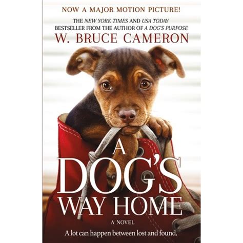 Последние твиты от a dog's journey (@a_dogs_journey). Dog's Way Home - By W. Bruce Cameron (Paperback) : Target