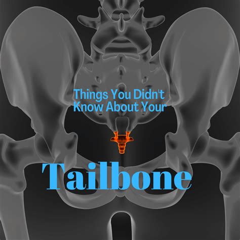 things you didn t know about your tailbone new jersey comprehensive spine care