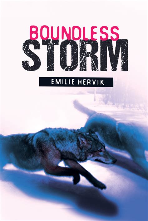 Boundless Storm - The Book Cover Designer