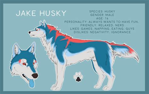 Jake Husky Ref Sheet Comm By Miharoe On Deviantart