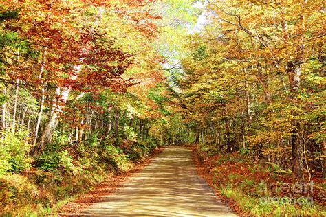 Autumn Road In The White Mountians Of New Hampshire Photograph By Denis