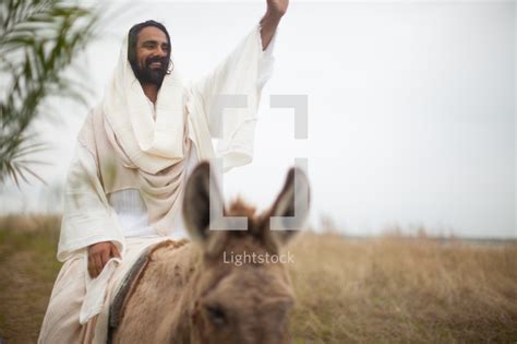 Jesus And A Donkey — Photo — Lightstock