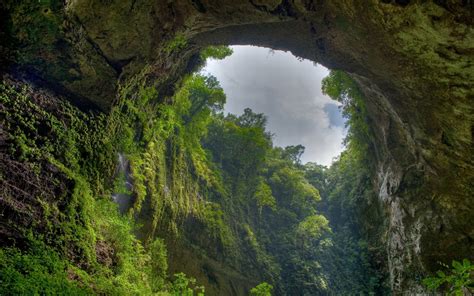 Arch Forest Jungle Cliff Hd Wallpaper Nature And Landscape