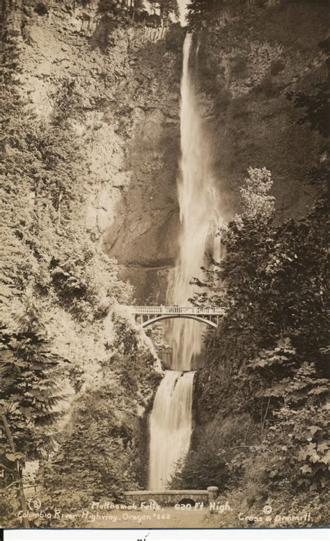 The Daily Postcard Draw That Bridge Multnomah Falls