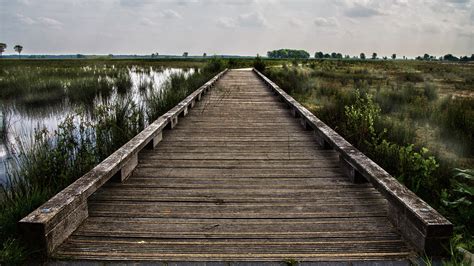 Free Images Landscape Water Nature Path Outdoor Wood Track