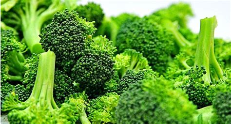 Improve Symptoms Of Autism Broccoli Sprout Compound