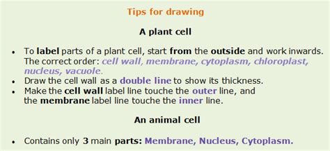 Maybe you would like to learn more about one of these? Structure - Biology Notes for IGCSE 2014