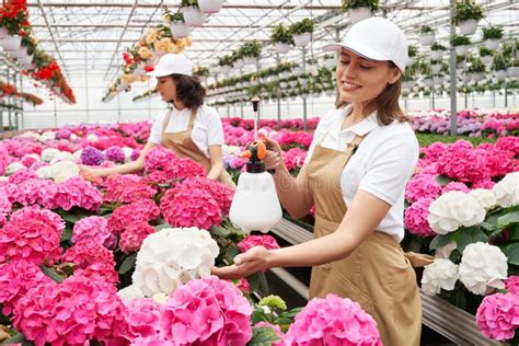 Smiling Women Feeding And Watering Flowers Stock Photo Image Of
