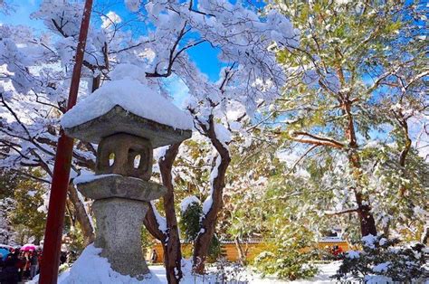 Heavy Snowfall In Kyoto Kyoto Snowfall Most Beautiful Cities