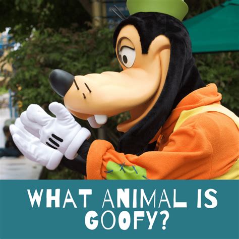 Is Goofy A Dog Disneys Cow Cover Up Revealed Reelrundown