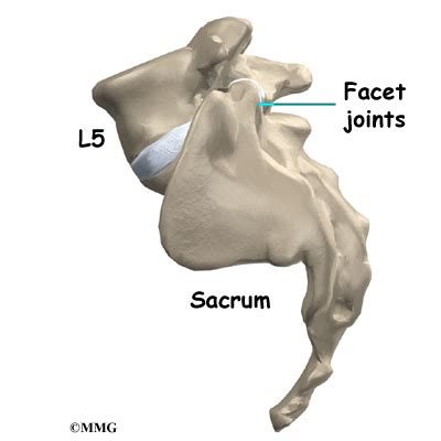 Lumbar Spondylolisthesis | eOrthopod.com
