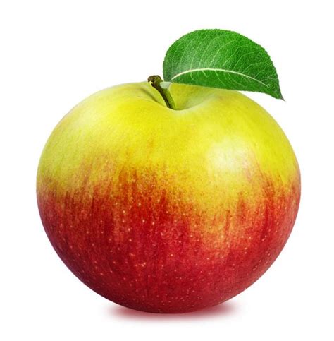 It has an array of hardware features, including the following: Apple isolated on white — Stock Photo © ilietus1000.gmail ...