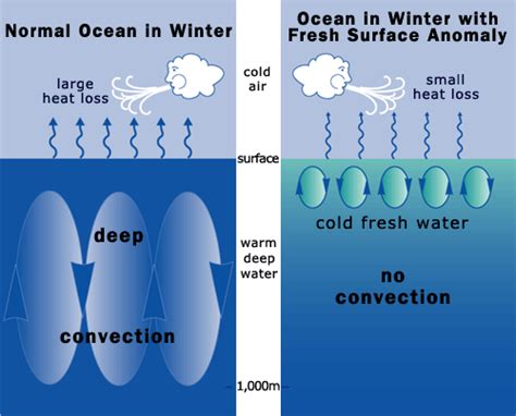 Heat Transfer The Process Of Convection Science News